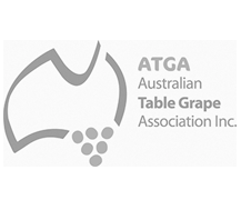 ATGA